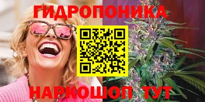 альфа пвп Ачхой-Мартан
